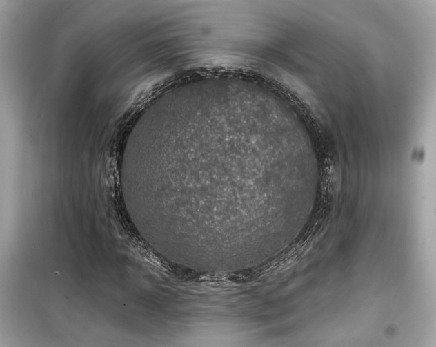 X0000099530918200805161208