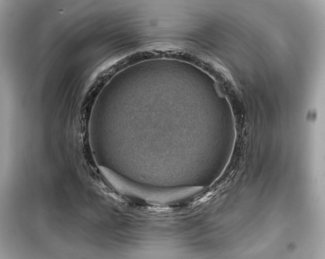 X0000099530920200805161208
