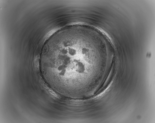 X0000099530921200805161208