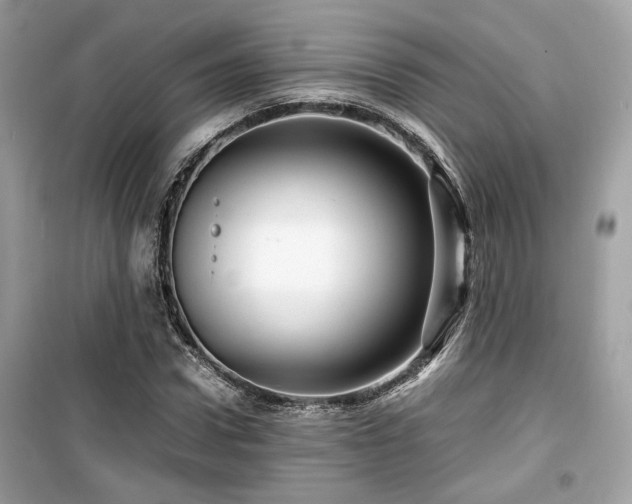 X0000099530922200805161208