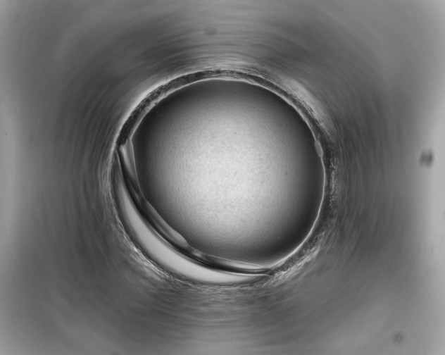 X0000099530924200805161208