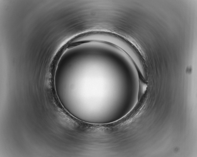 X0000099530926200805161208