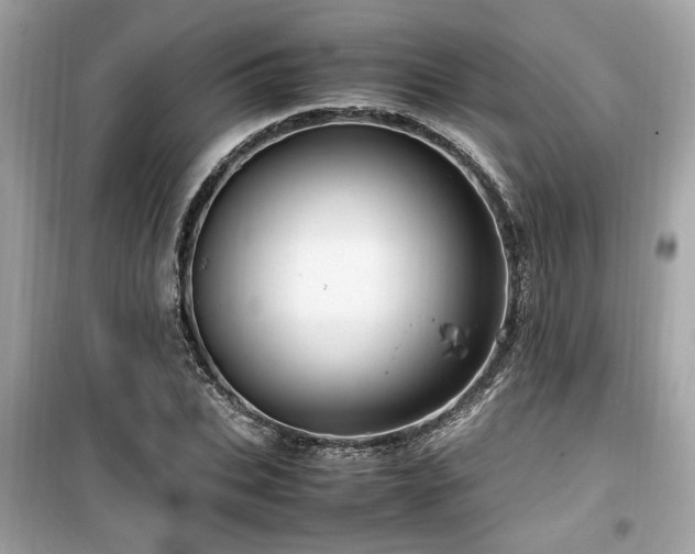 X0000099530927200805161208