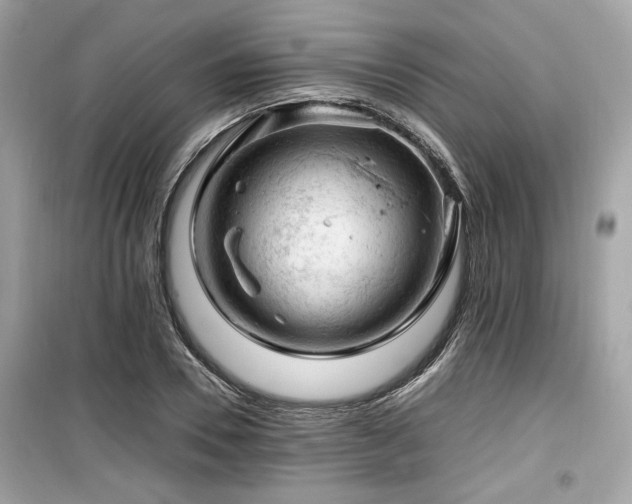 X0000099530930200805161208