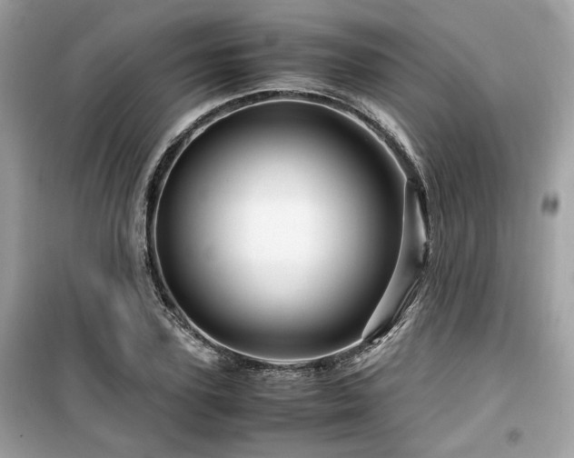 X0000099530931200805161208