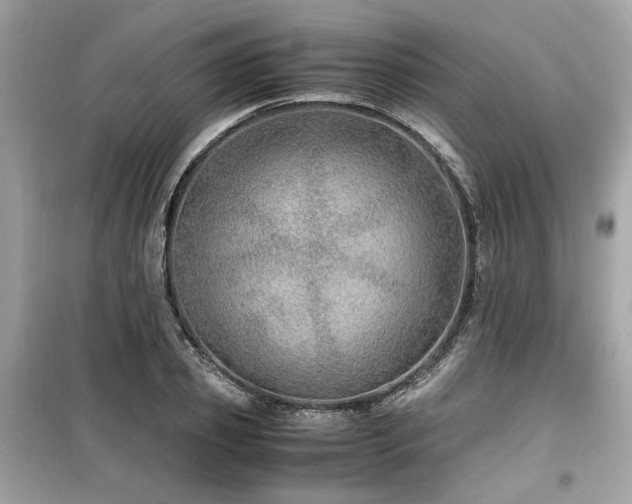 X0000099530933200805161208