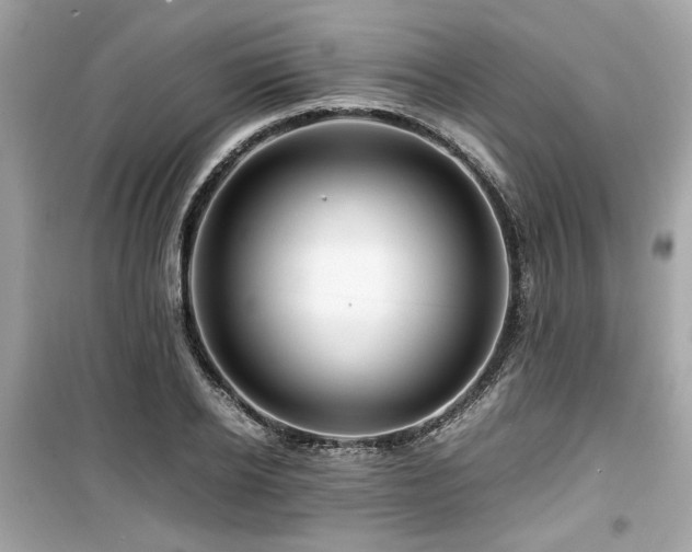 X0000099530934200805161208