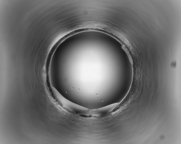 X0000099530936200805161208