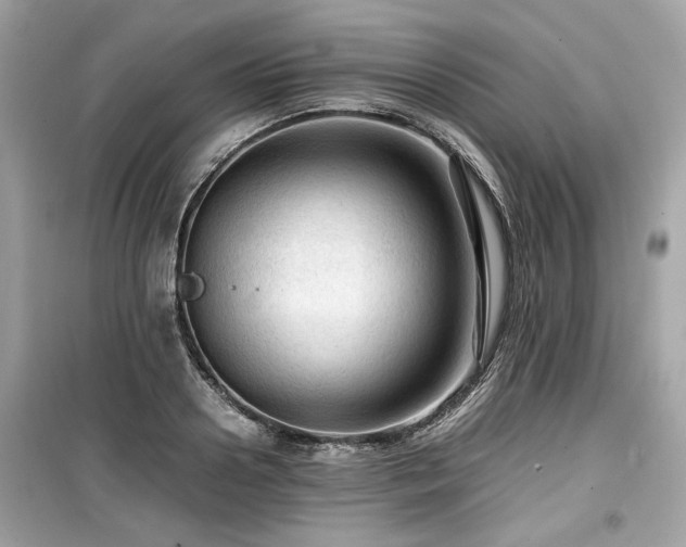 X0000099530938200805161208