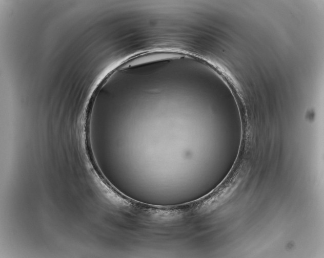X0000099530941200805161208