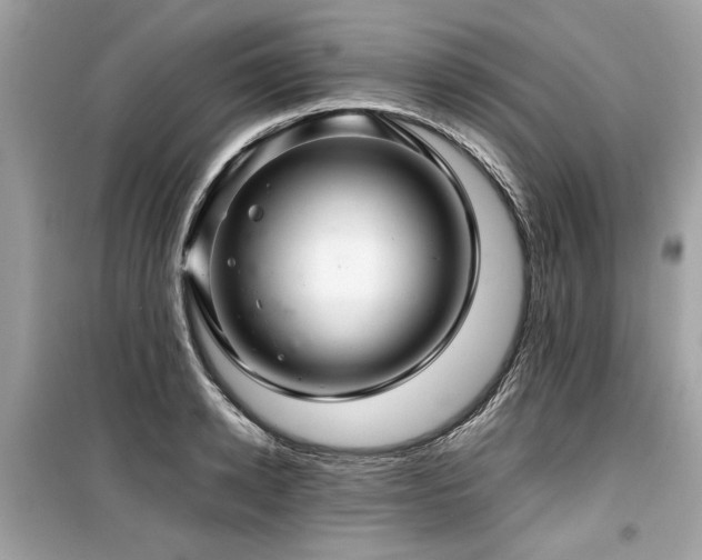 X0000099530942200805161208