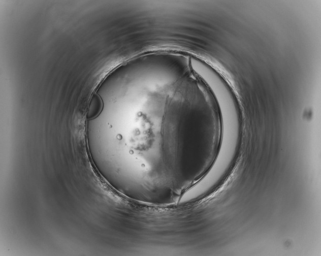 X0000099530945200805161208