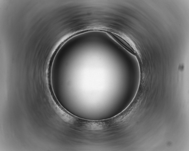 X0000099530947200805161208