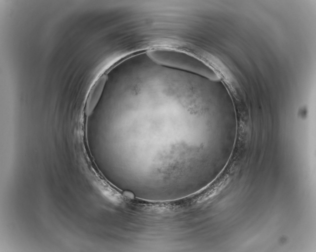 X0000099530948200805161208