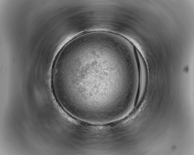 X0000099530949200805161208