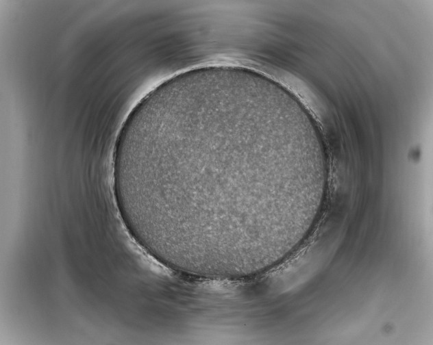 X0000099530950200805161208