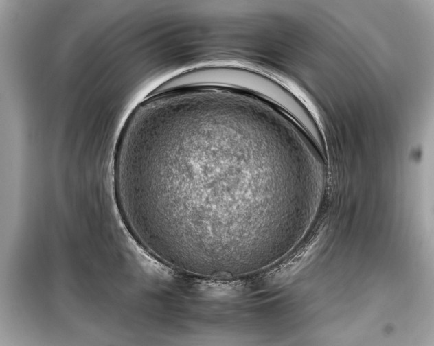 X0000099530951200805161208