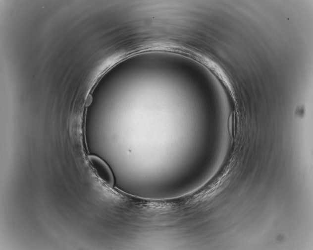 X0000099530954200805161208