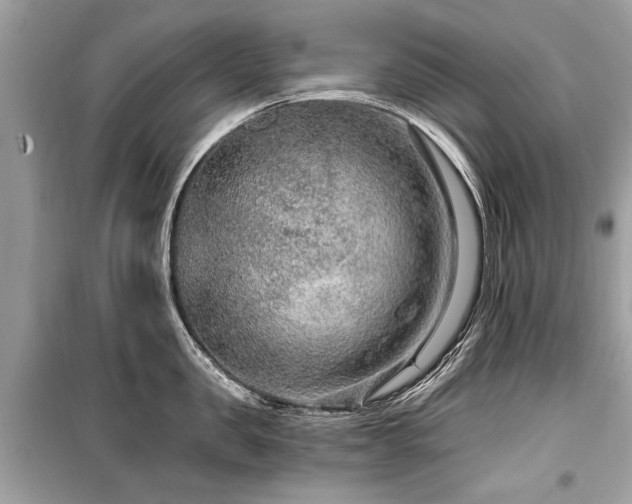X0000099530957200805161208