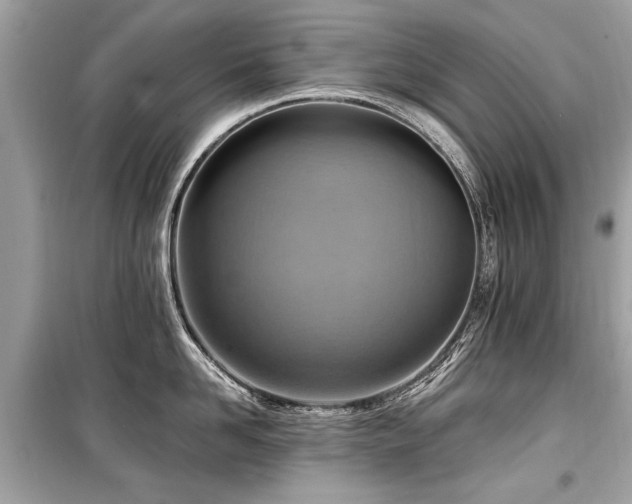 X0000099530958200805161208