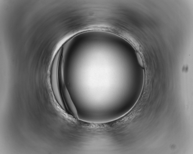 X0000099530960200805161208