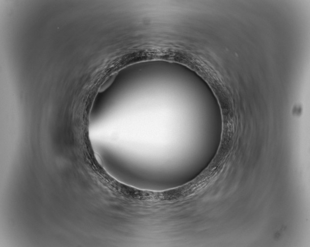 X0000099530961200805161207