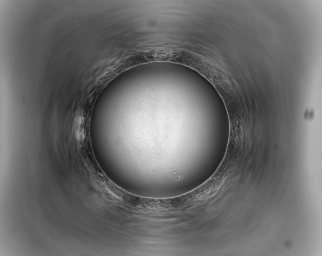 X0000099530962200805161207