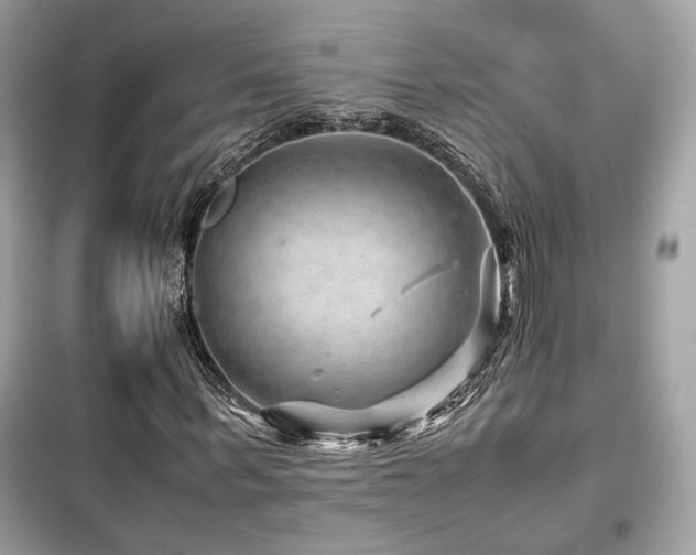 X0000099530963200805161207