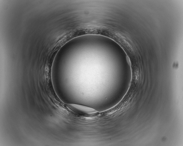 X0000099530964200805161207
