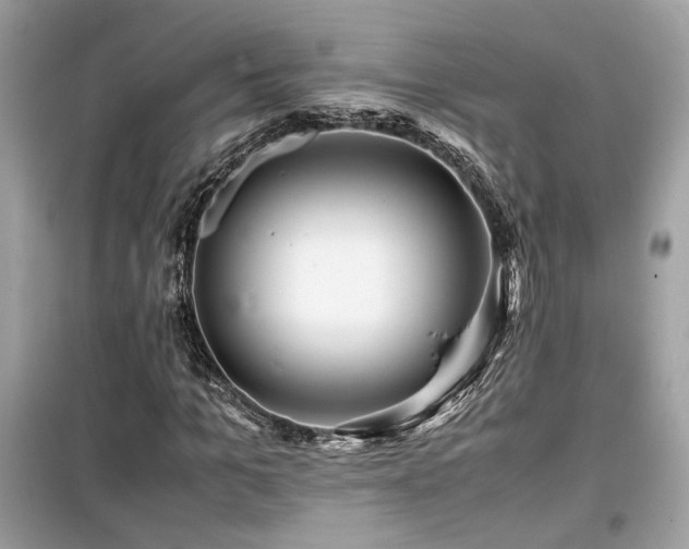 X0000099530965200805161207