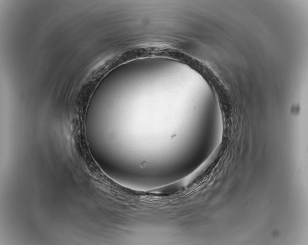 X0000099530967200805161207