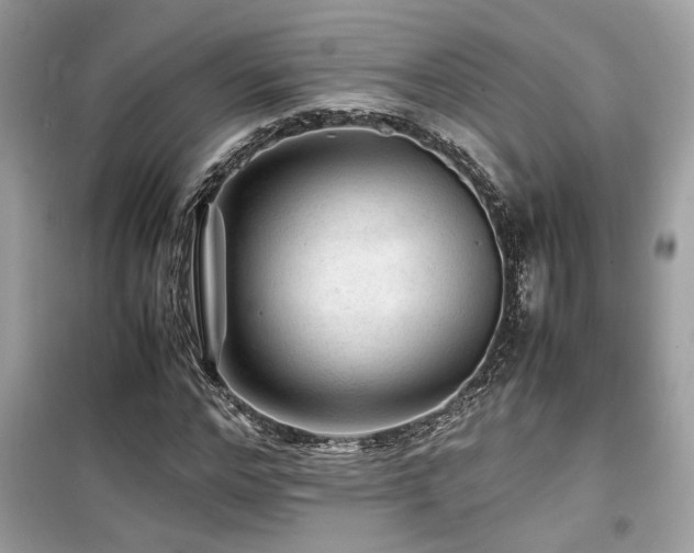 X0000099530968200805161207