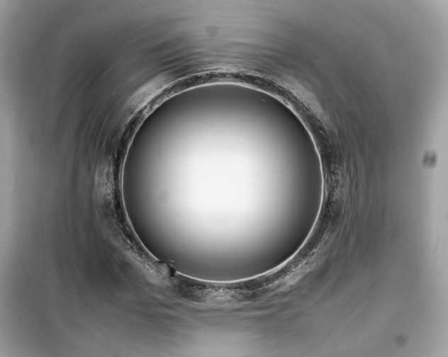 X0000099530969200805161207