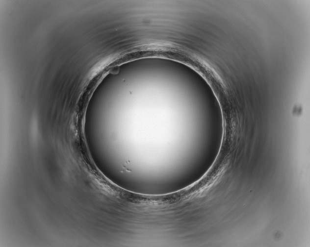 X0000099530970200805161207