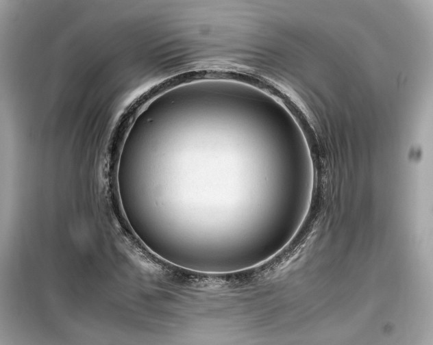 X0000099530971200805161207