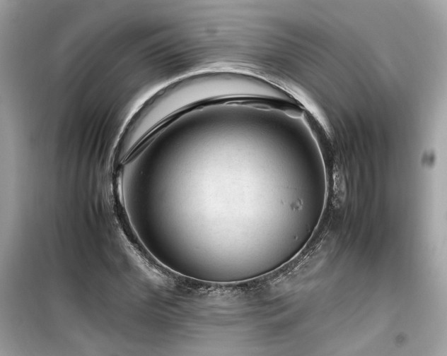 X0000099530972200805161207