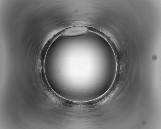 X0000099530973200805161207