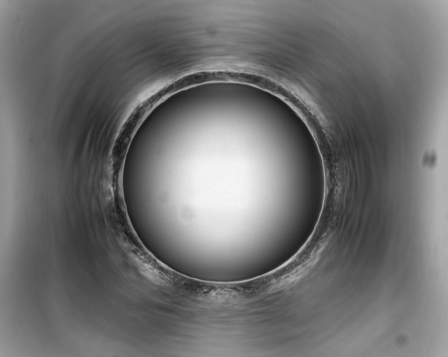 X0000099530974200805161207