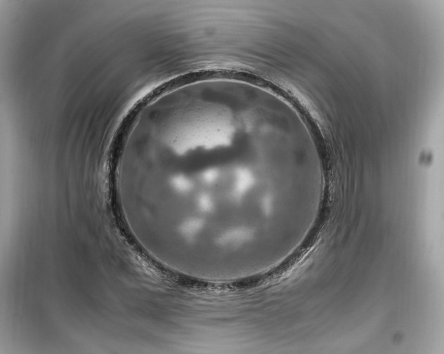 X0000099530975200805161207