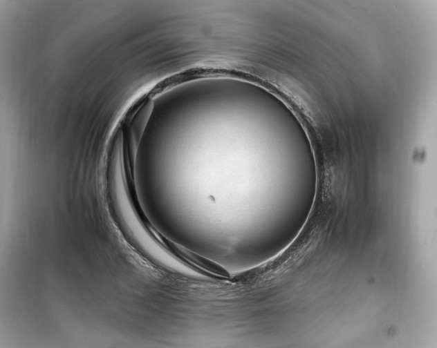 X0000099530976200805161207