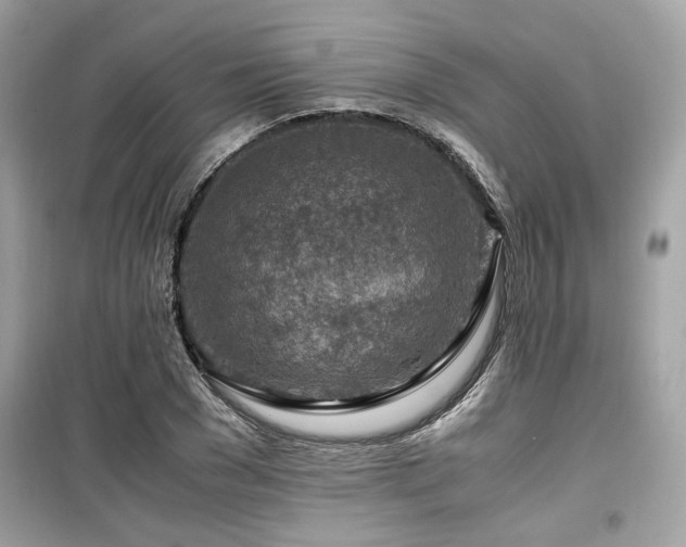 X0000099530977200805161207