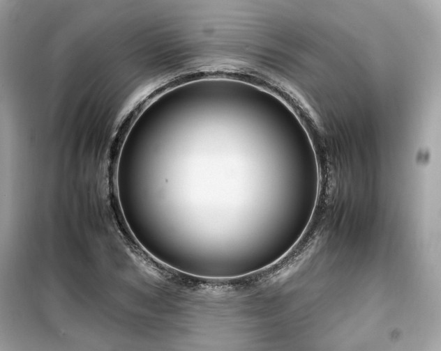 X0000099530978200805161207