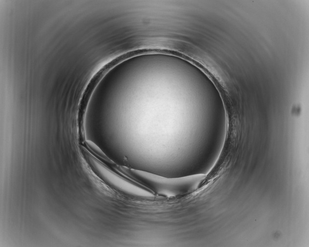 X0000099530980200805161207