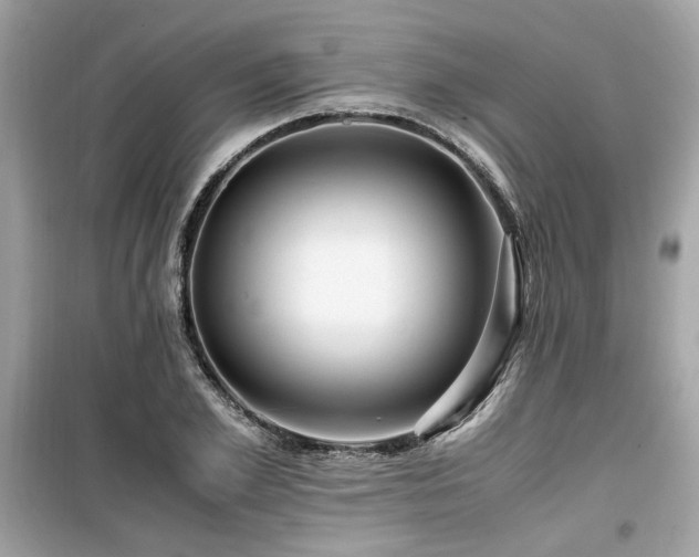X0000099530981200805161207