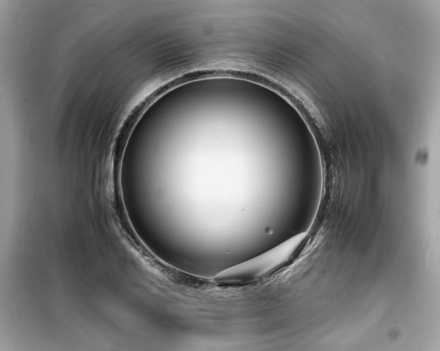 X0000099530982200805161207