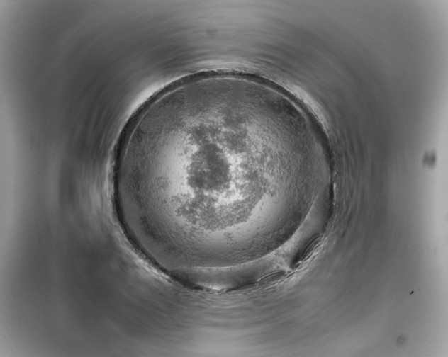 X0000099530983200805161207