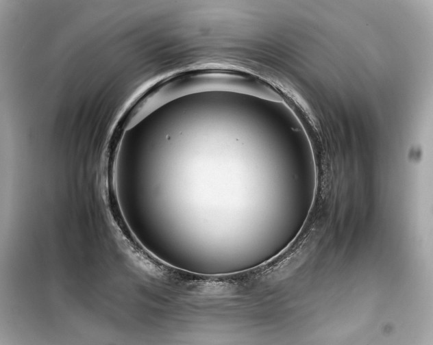 X0000099530984200805161207