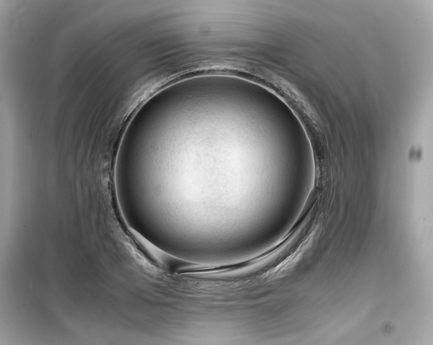 X0000099530985200805161207