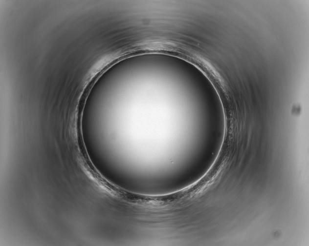 X0000099530986200805161207