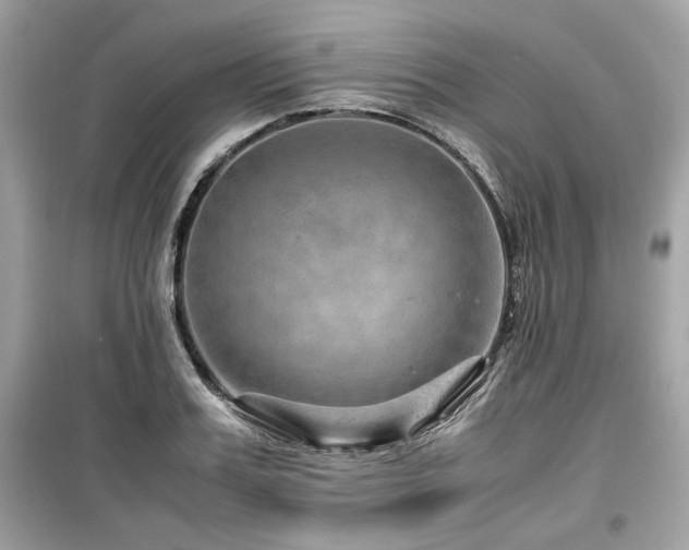 X0000099530987200805161207